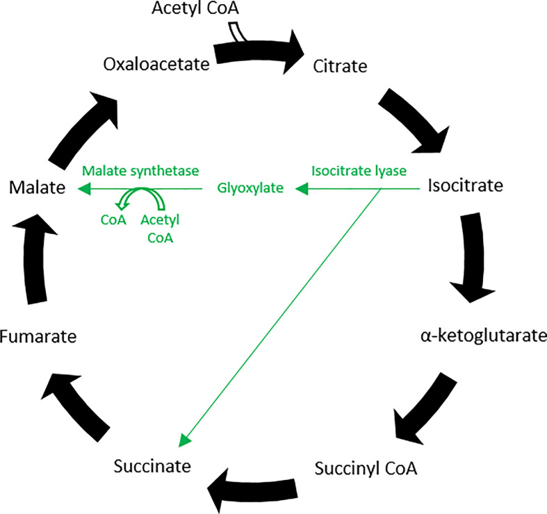 Figure 17