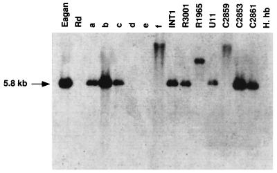 FIG. 6