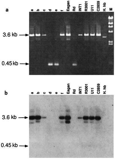 FIG. 7