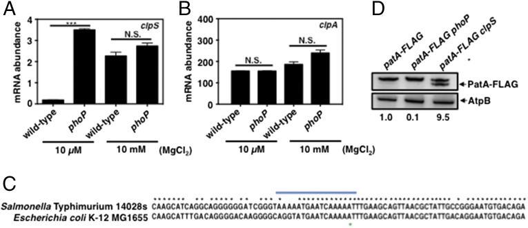 Fig. 6.