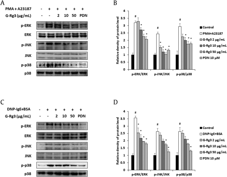 Fig. 4