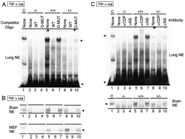 FIG. 4.