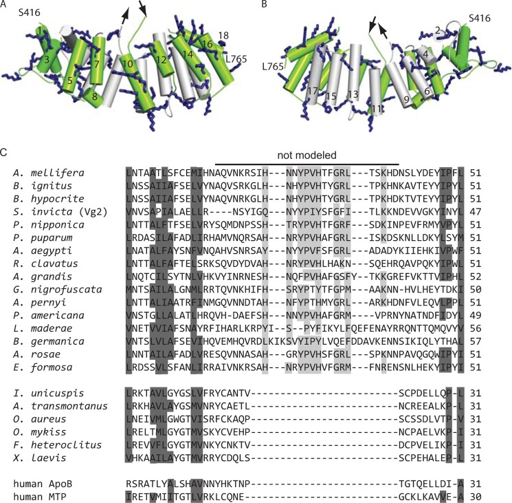 FIGURE 7.