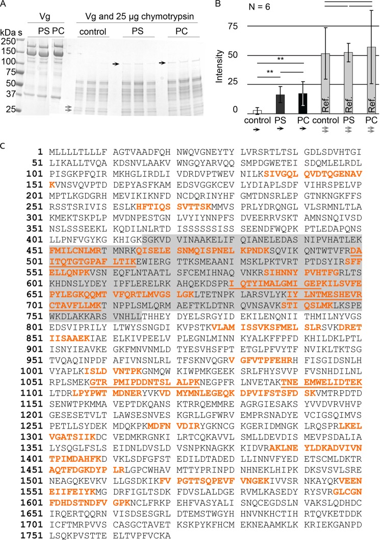 FIGURE 6.