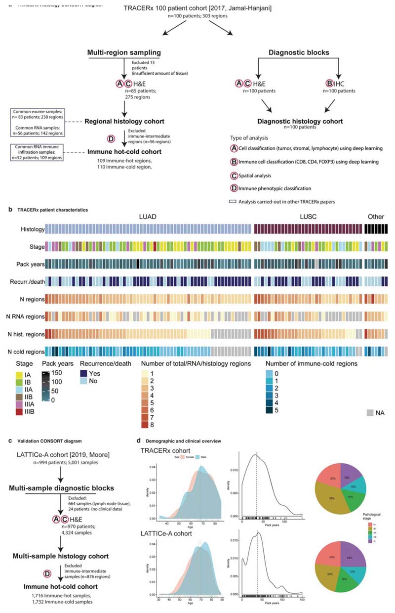 Extended Data Fig. 1