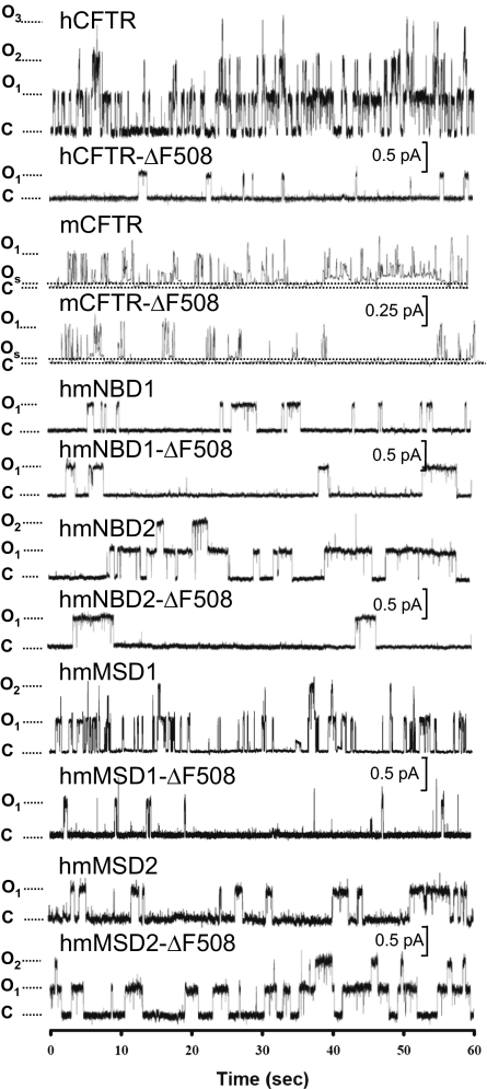 Fig. 3.