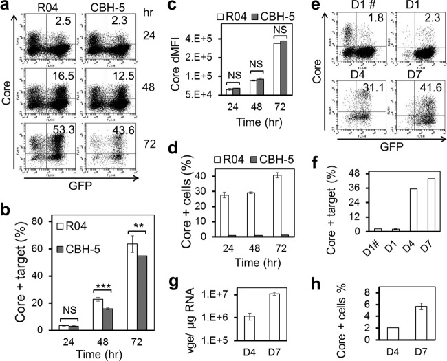 Fig 10