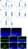 Figure 3—figure supplement 1.