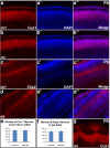 Figure 1—figure supplement 2.