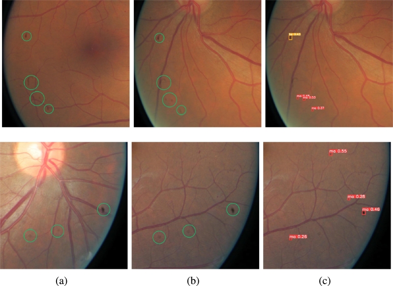 Figure 13
