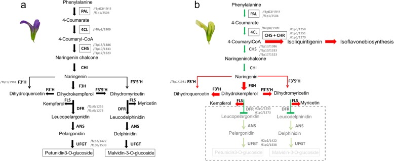 Fig. 11