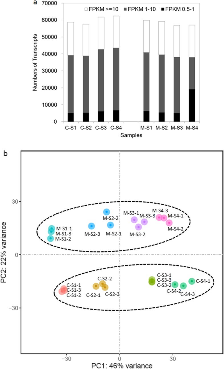 Fig. 4