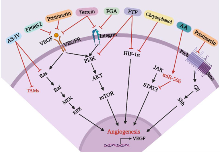 Figure 7