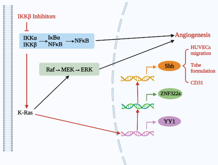 Figure 1