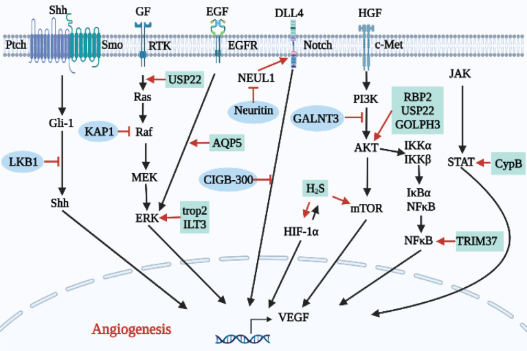 Figure 5