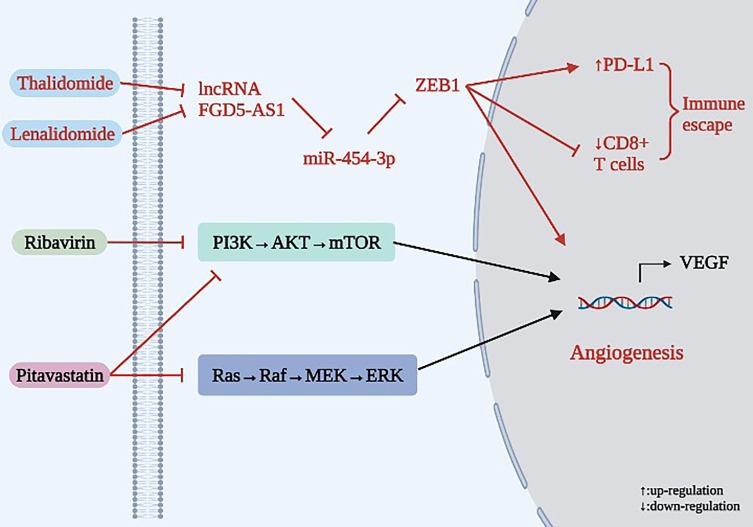 Figure 6