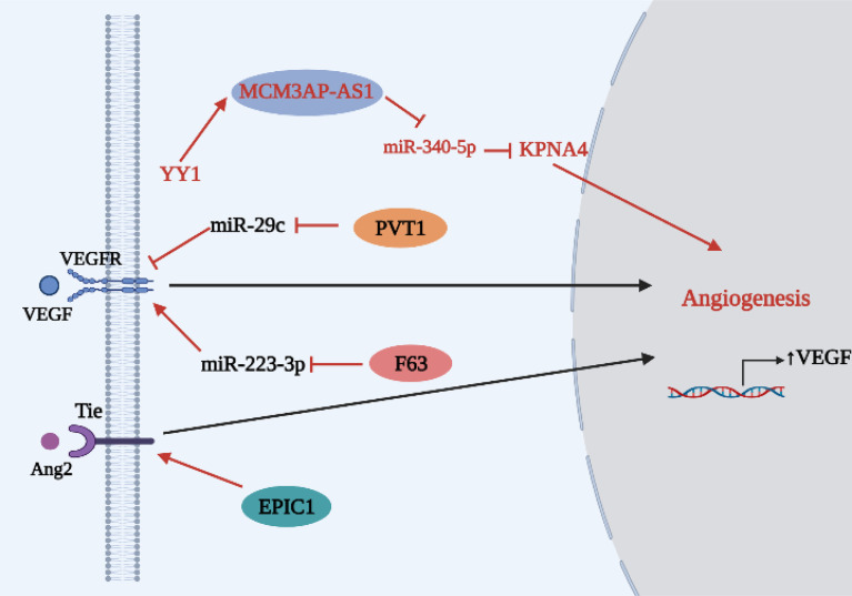 Figure 4