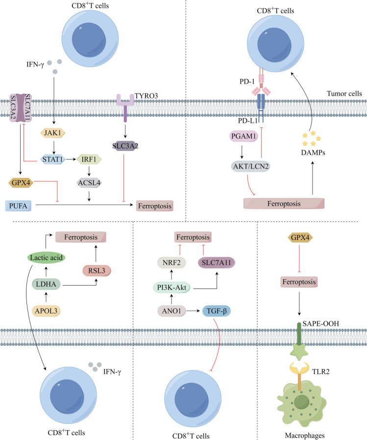 Fig. 3