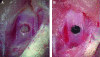 FIG. 2.
