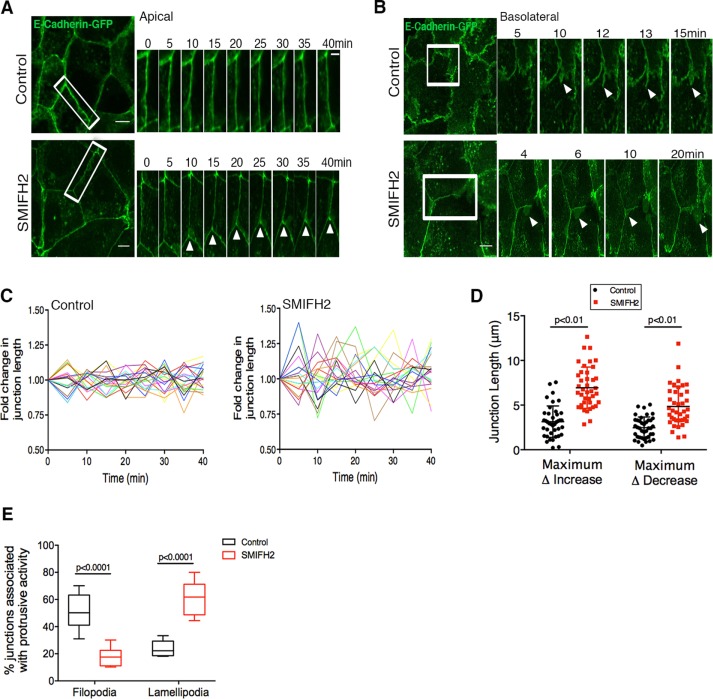 FIGURE 2: