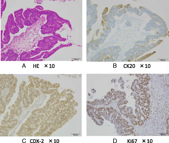 Fig. 2