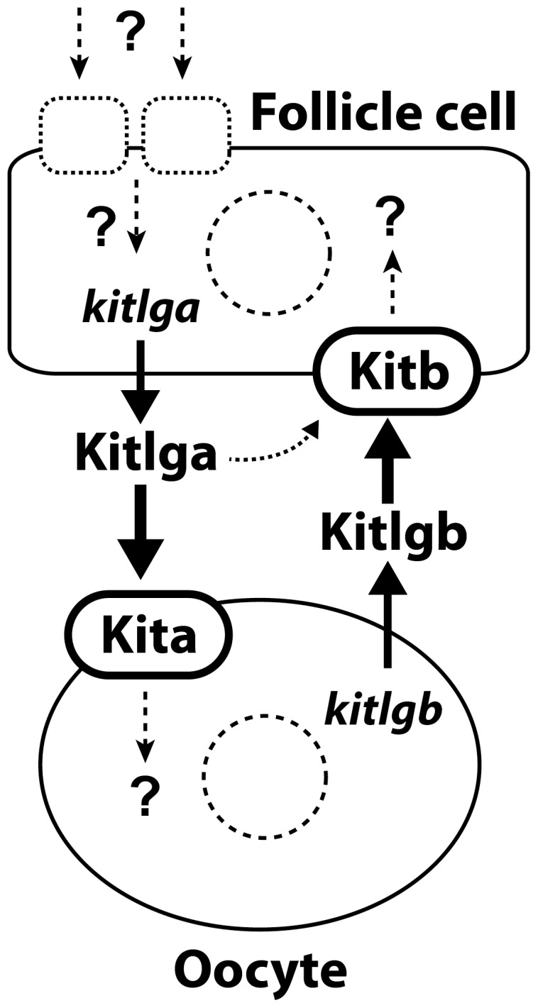 Figure 14