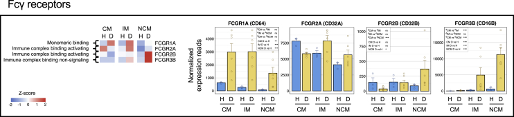 Figure 5