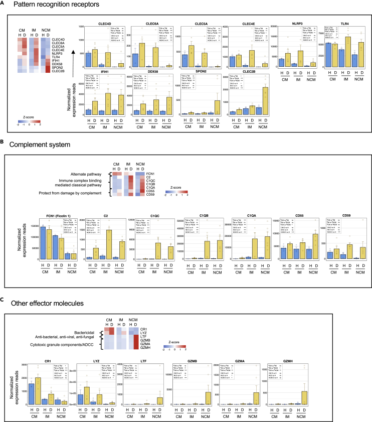 Figure 6