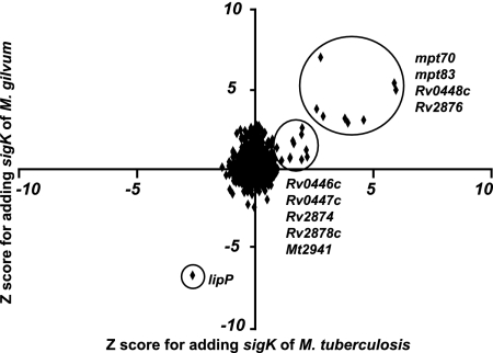 FIG. 5.