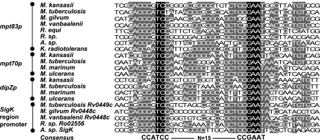 FIG. 6.