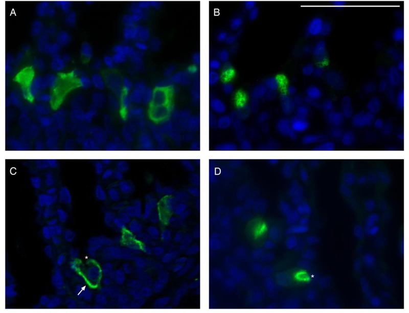 Fig. 6.