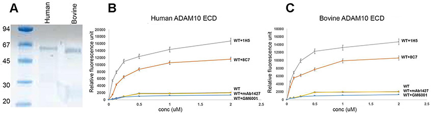 Fig. 7.