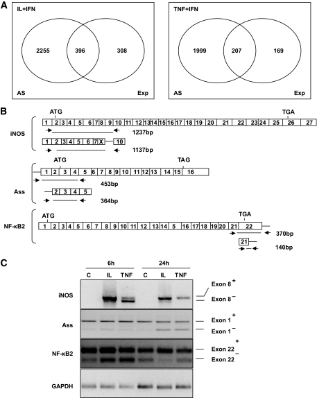 FIG. 7.