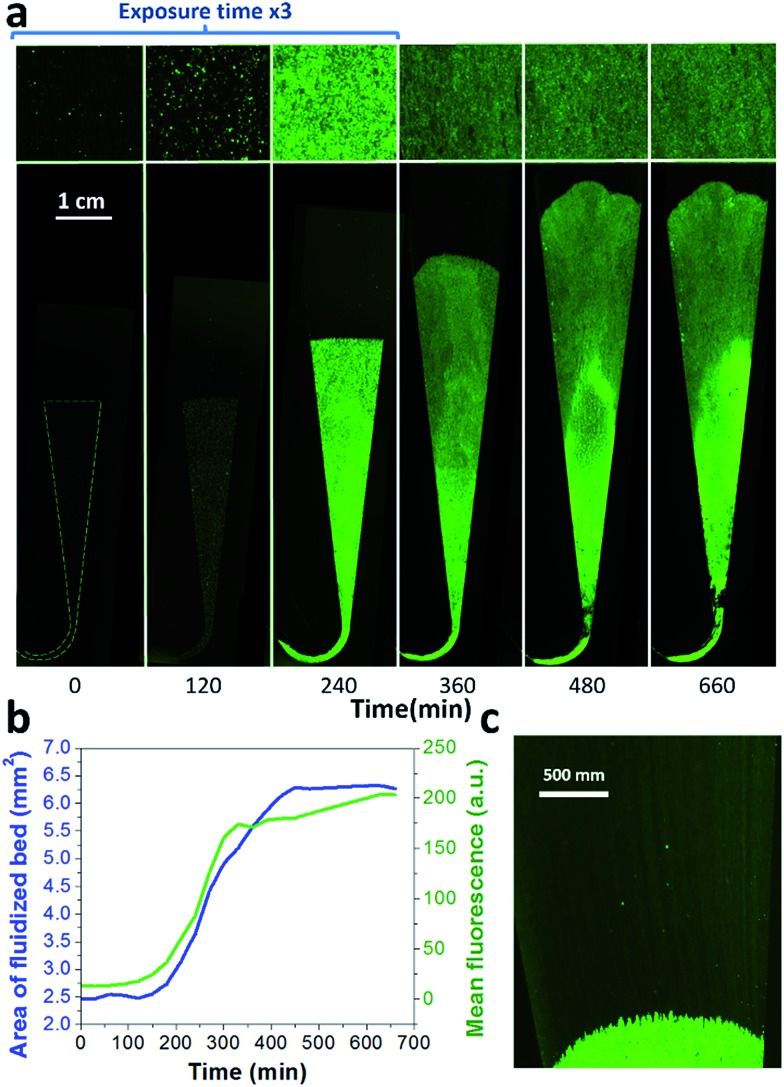 Fig. 3