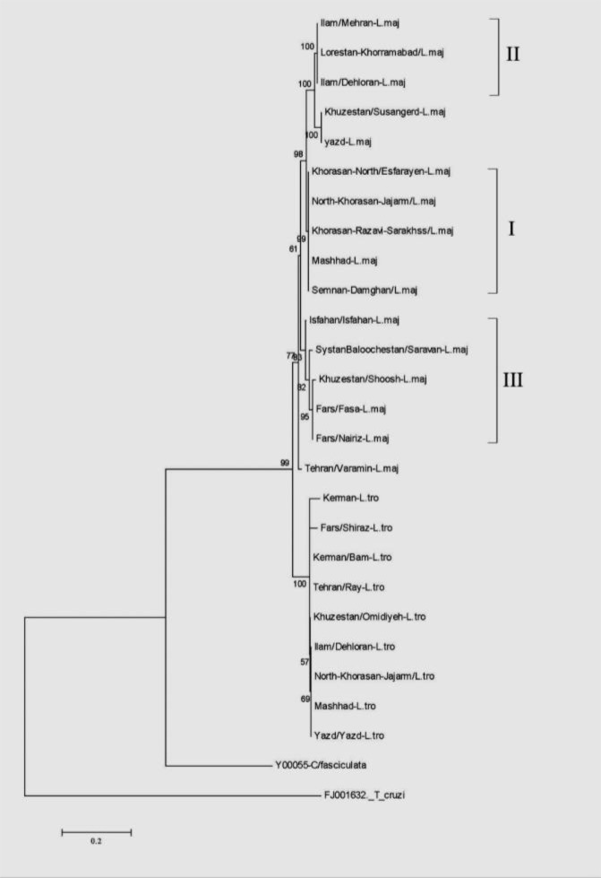 Fig. 4: