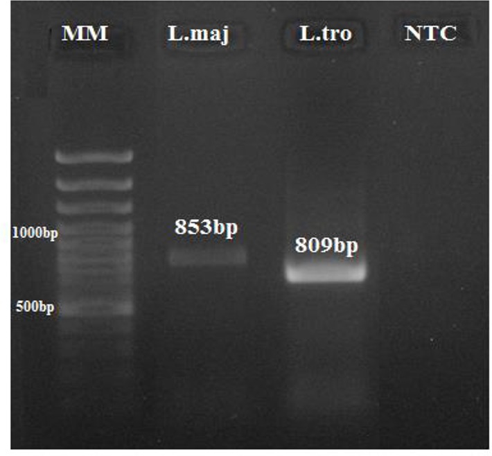 Fig. 2: