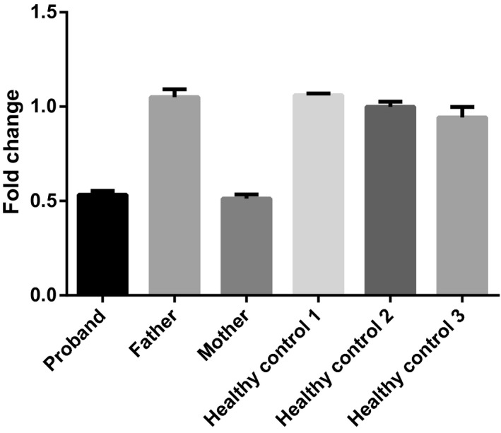 FIGURE 3