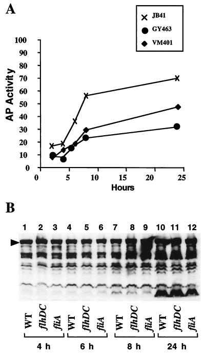 FIG. 1