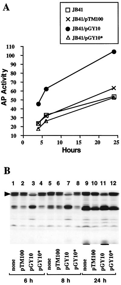 FIG. 2