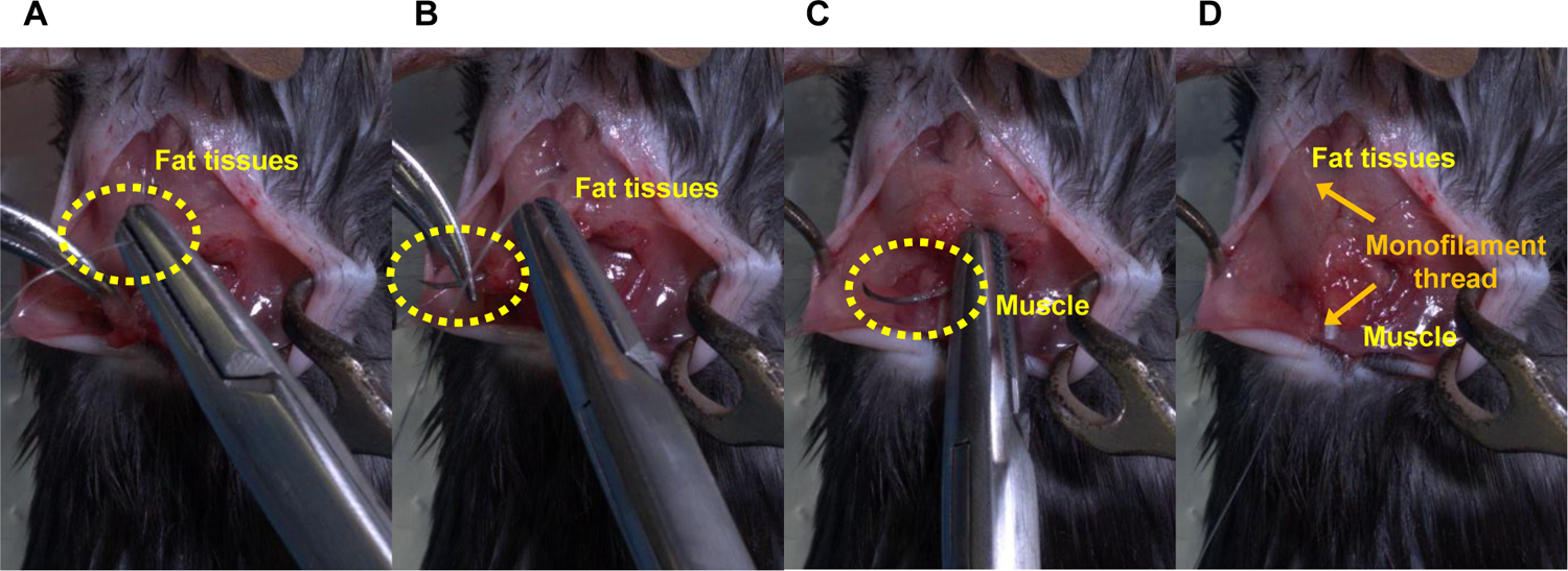 Figure 4: