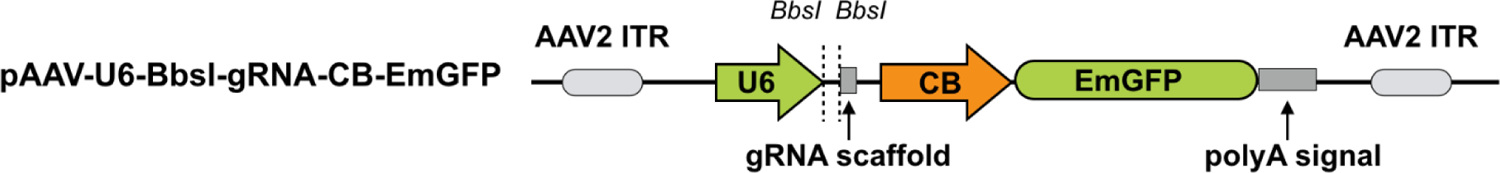 Figure 2: