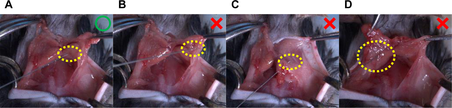 Figure 5.