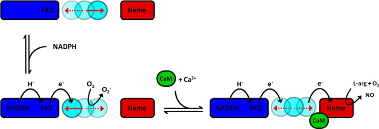 FIGURE 9.