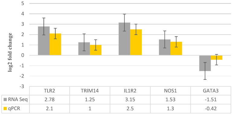 Figure 5