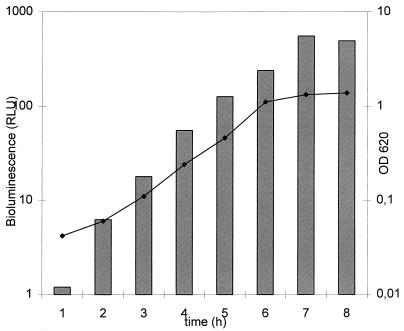 FIG. 1