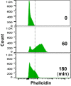 Fig. 1.