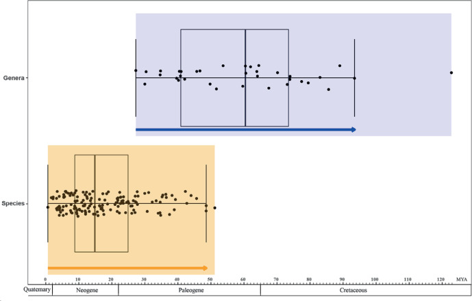 Fig. 9.