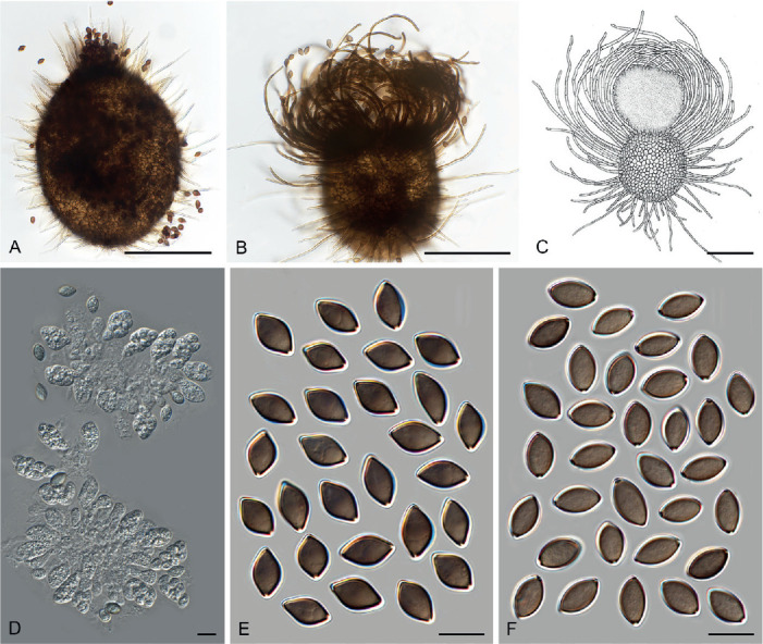 Fig. 10.