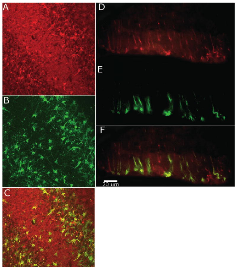 Fig. 6