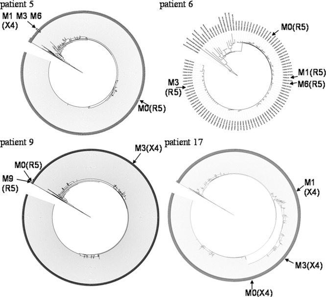 Fig 1